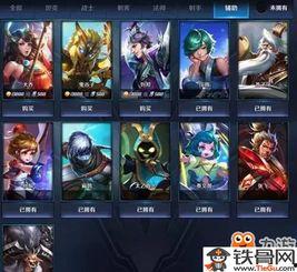 王者皮肤最新爆料图片大全,视觉盛宴，潮流来袭！