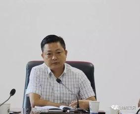 广西陆川县爆料案件最新,真相揭开，疑云散去